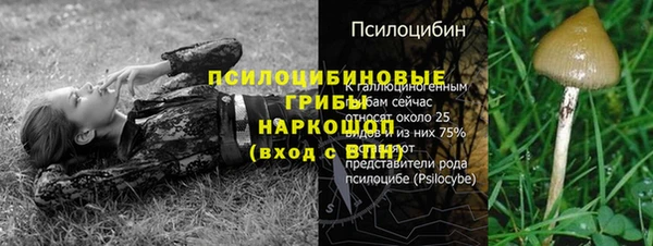альфа пвп Богородск
