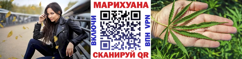 Канабис планчик  Могоча 
